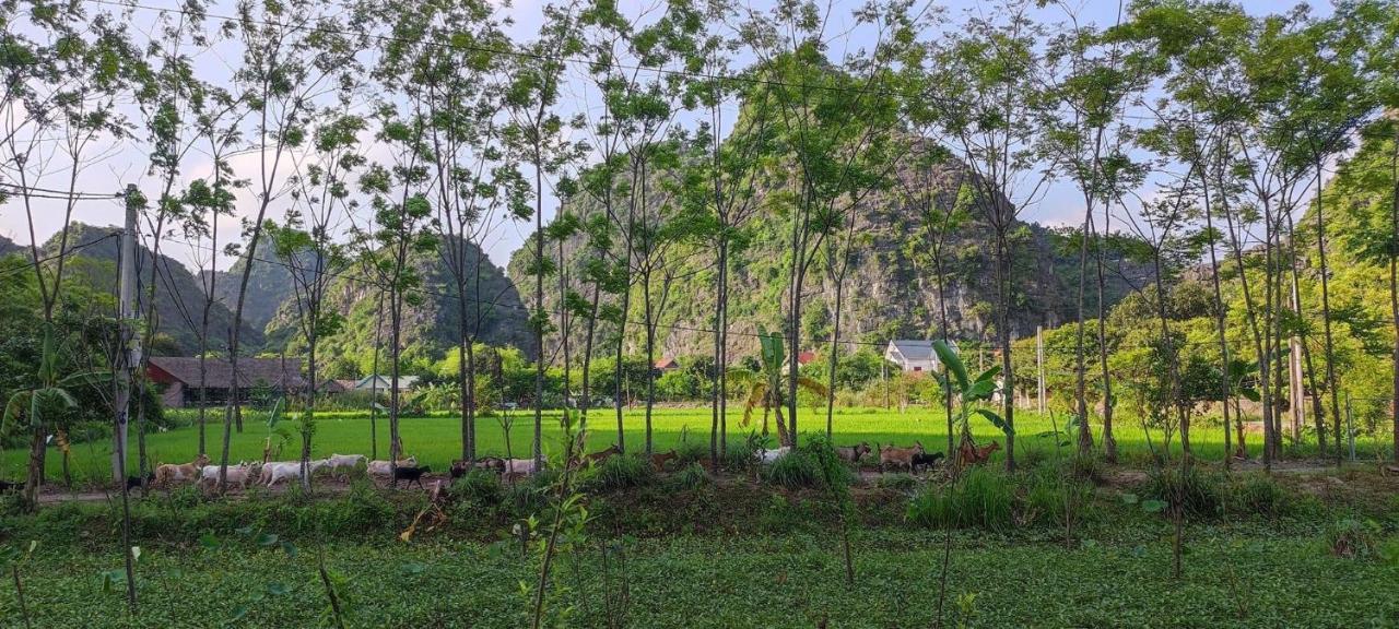 Villa Trang An Retreat Ninh Binh Exterior foto